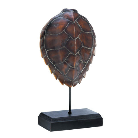 Spiny Turtle Museum Decor