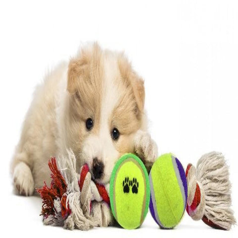 Sports Pet Toy Gift Set - 7 Piece