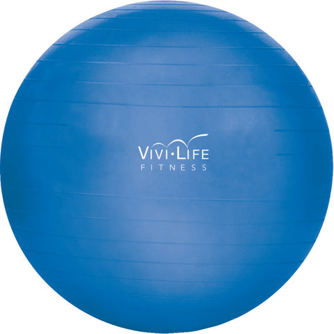 Vivi Life 55cm Balance Ball (blue)