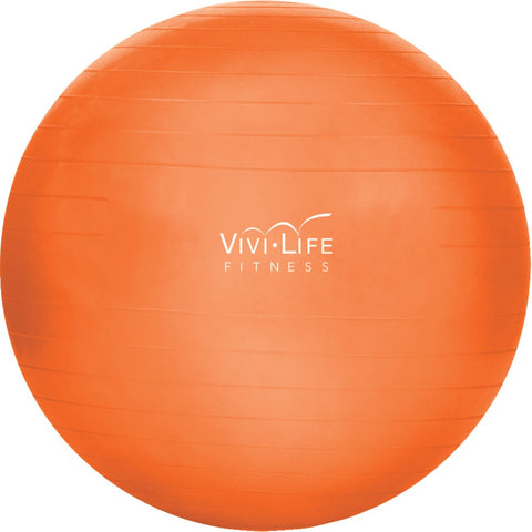 Vivi Life 55cm Balance Ball (orange)
